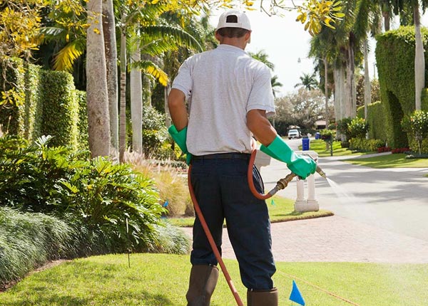 About Moraga CA Pest Control